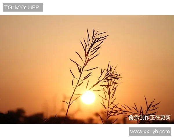 早晨的第一缕阳光照亮未来希望黑暗即将消散迎接崭新篇章